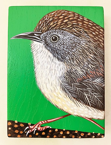 Scrubtit