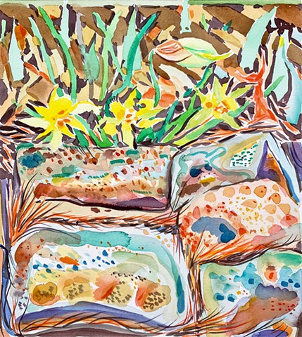 Daffodils By the Shed