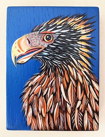 Tasmanian Wedge Tailed Eagle