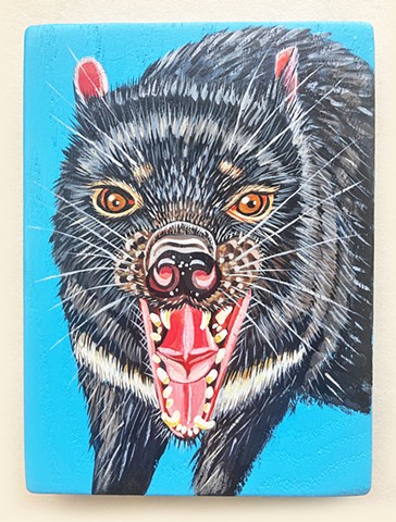 Tasmanian Devil