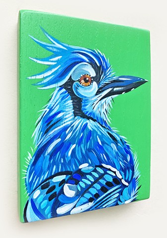Blue Jay