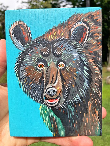 Black Bear