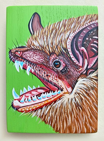 Brown Bat Brown Bat What Makes Your Teeth So White?
