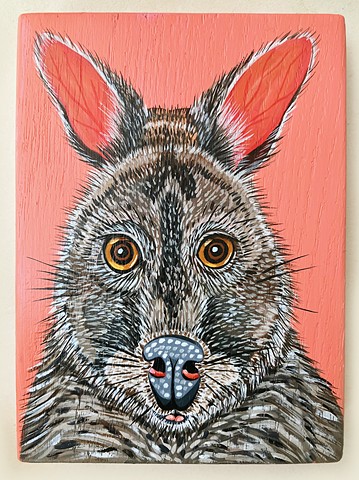 Pademelon