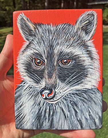 Raccoon