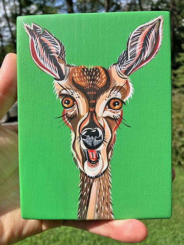White Tailed Deer - Doe