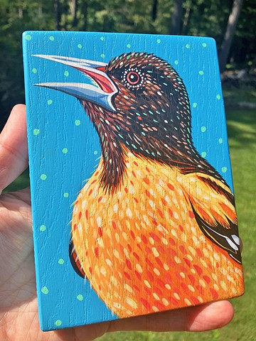 Baltimore Oriole