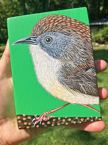 Scrubtit