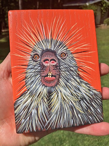 Porcupine