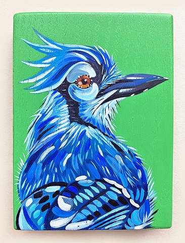 Jay Jay