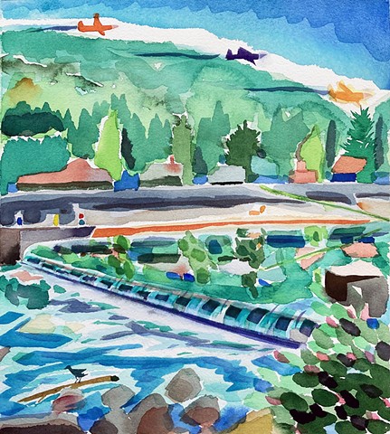 Slow Cubs Over the Dam