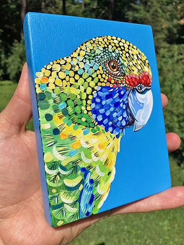 Green Parrot
