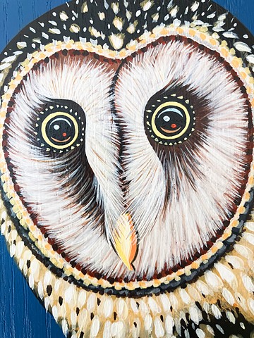 Tasmanian Masked Owl