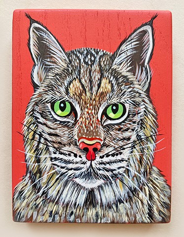Bobcat