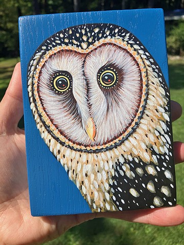 Tasmanian Masked Owl