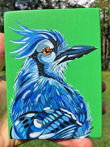 Blue Jay