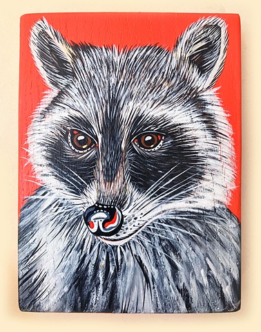 Raccoon