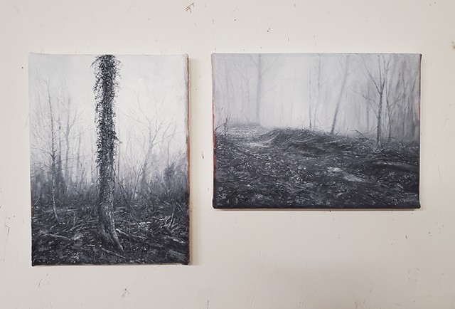 Forest road series 