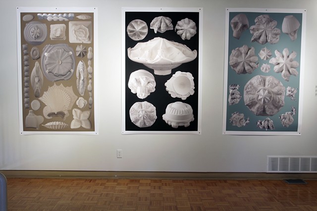 installation shot of Karsh Masson exhibit
"Big Pictures/ Small Things"
left to right:
(un)Natural curiosities Plate X various species of diatoms (a type of unicellular plant)
(un)Natural curiosities Plate VIII various species of Rhizostomaeae (an order of