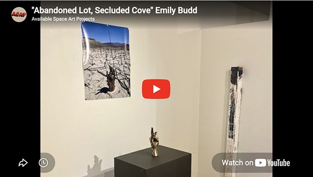  "Abandoned Lot, Secluded Cove" Emily Budd