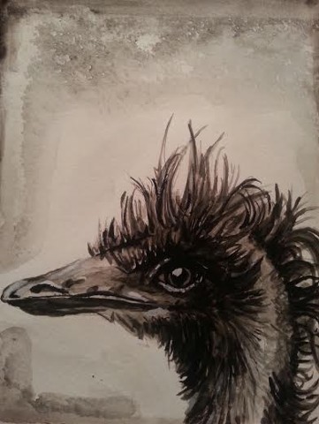 Ostrich 4