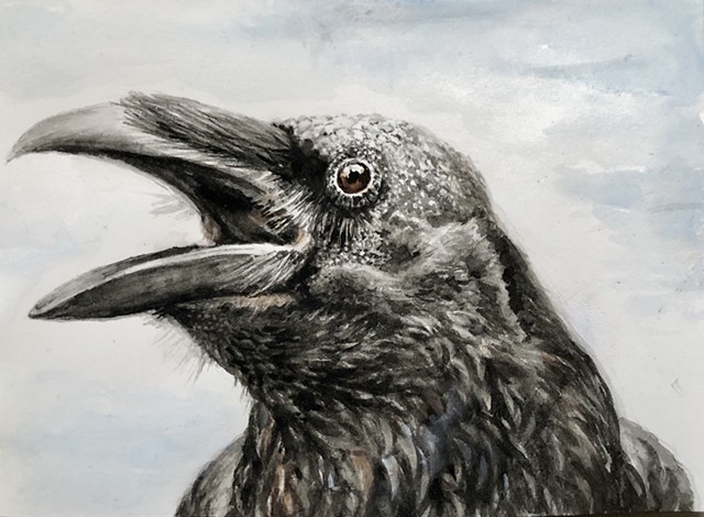 Crow for Julian