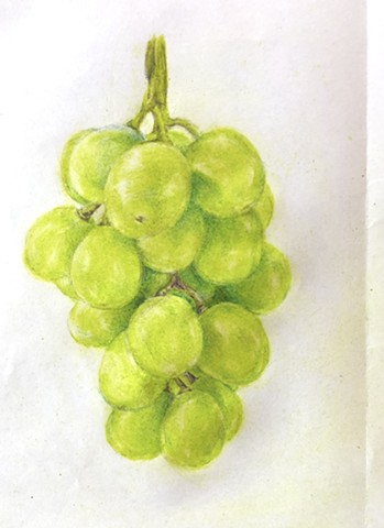 Grapes Drawing Project