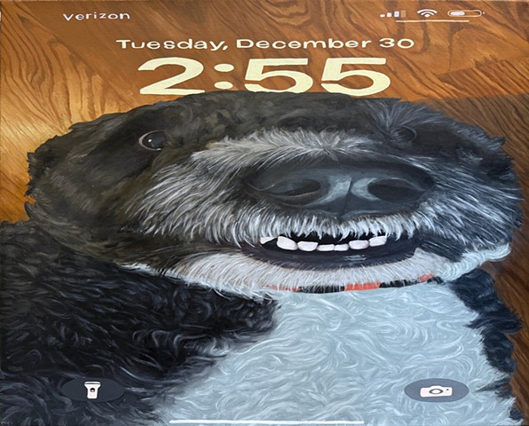 Compressed Lock Screen (winston)