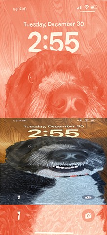 Compressed Lock Screen (winston)