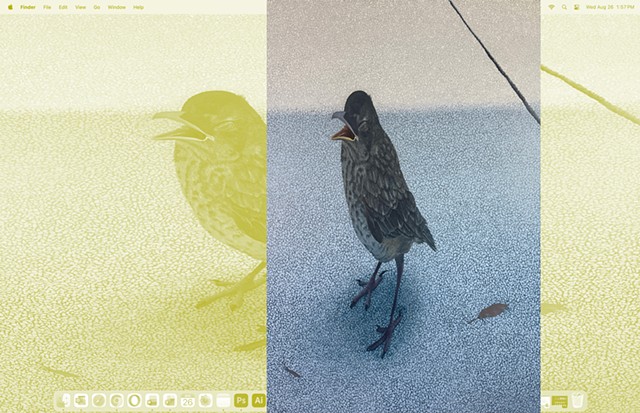 Fledgling Stunned