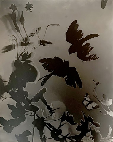 Coming in for the Kiss 1