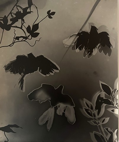 Coming in for the Kiss 2