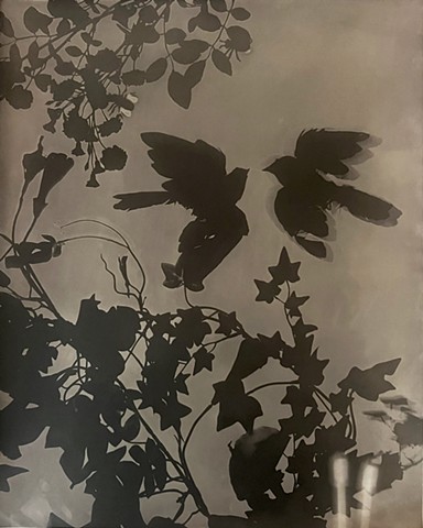 Coming in for the Kiss 9