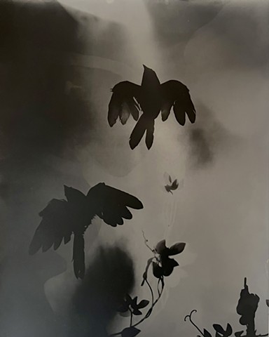 Coming in for the Kiss 