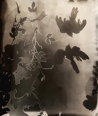 Coming in for the Kiss 8