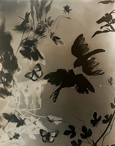 Coming in For the Kiss