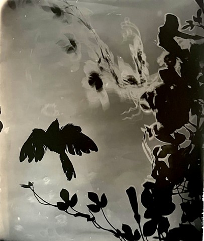 Coming in for the Kiss 7