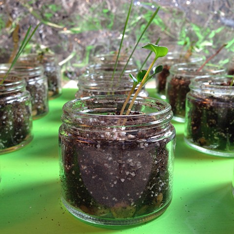 Manifesto Food Installation
