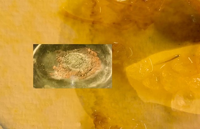 Alchemical Transmutations