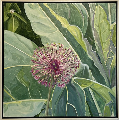 Allium w/ Mullein Leaves