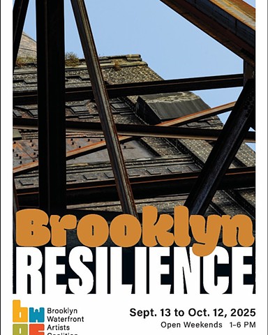 Brooklyn Resilience