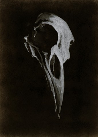 Bird Skull 2