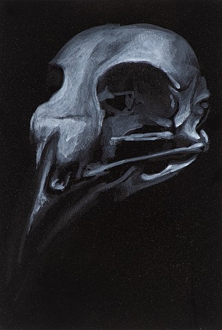 Bird Skull IV