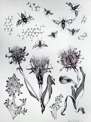 Bees, flowers, honeycomb,geometric black and white drawing