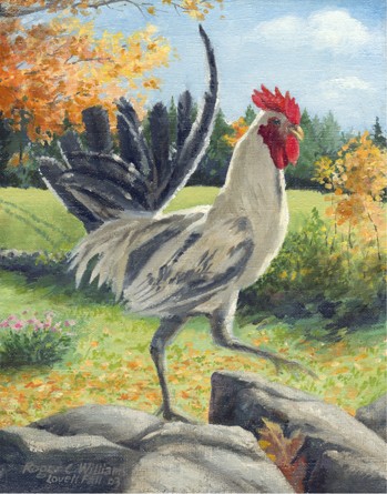 "White Rooster on Eastman Hill"