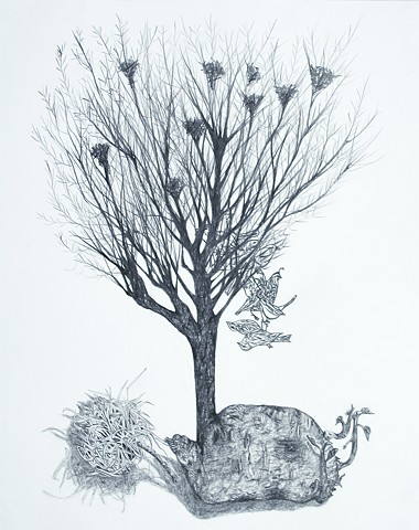 Tree Nests