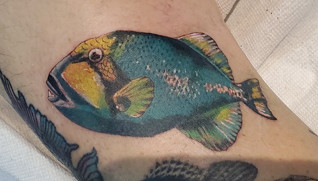 All Rights Reserved By Shauna Fujikawa S. Hope Tattoos & Art - Reef Fish