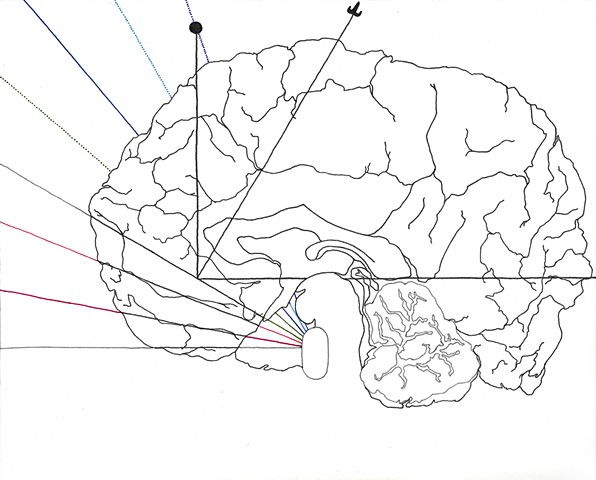 optics, optical, vision, visual, visual perception, medical illustration, medicine, medical, anatomy, human, light, color, brain, encephalon, geometry, visual processing, Descartes, Marr, lines, linear, contour, perception, sight, sensory, senses, diagram