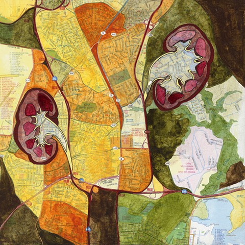 medical illustration, medicine, fine art, acrylic paint, mixed media, painting, acrylic, anatomy, anatomical, physiology, map, cartography, kidney, kidneys, urinary, nephrology, nephrolithiasis, geography, human