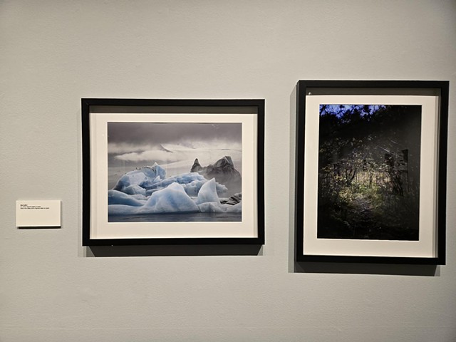 April 2026: Photo Donation